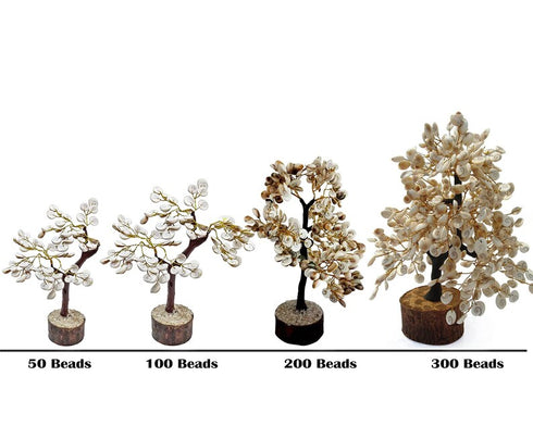 Pushkar Gomati Chakra Healing Tree
